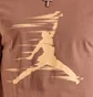Футболка мужская Air Jordan Mvp Jumpman Tee Brown FZ1919-223