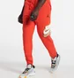 Штани чоловічі Air Jordan Jumpman Core Fleece Pants Red Dc9608-673