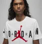 Футболка чоловіча Air Jordan Air Stretch T-Shirt White Dv1445-100