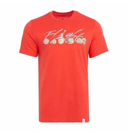Футболка мужская Air Jordan Essential Rings Tee Orange FN5966-604