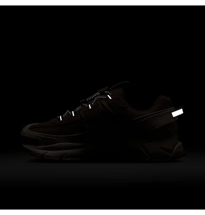 Кросівки жіночі Nike W Zoom Vomero Roam Brown/Beige HQ2181-006
