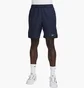 Шорты мужские Nike Victory Blue FD5384-451