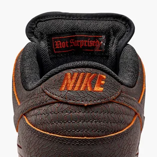 Кросівки чоловічі Nike Sb Dunk Low Pro Prm Brown HV1668-001