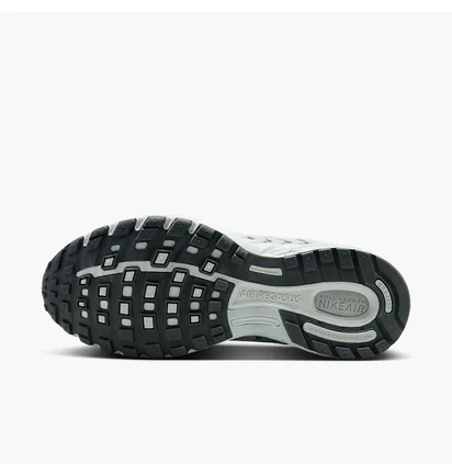 Кросівки жіночі Nike Wmns Air Pegasus 2005 Grey HJ5271-001
