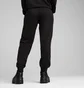 Штаны женские Puma Class Sweatpants Black 685037-01