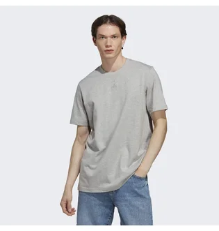 Футболка мужская Adidas All Szn Tee Grey Ic9789