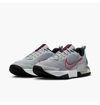 Кросівки чоловічі Nike Air Max Alpha Trainer 6 Grey FQ1833-011