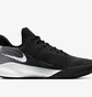 Кросівки унісекс Nike Precision Iv Black White CK1069-001