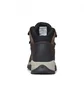 Ботинки женские Columbia Newton Ridge Plus Brown 1424692231