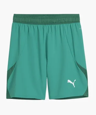 Шорти чоловічі Puma Teamfinal Short F05 Green 705743-05