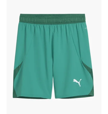 Шорты мужские Puma Teamfinal Short F05 Green 705743-05