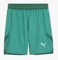 Шорты мужские Puma Teamfinal Short F05 Green 705743-05
