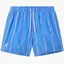 Шорты мужские AUSTRALIAN Stripe Beach Boxer Light Blue LSUCU0010-809