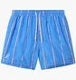 Шорты мужские AUSTRALIAN Stripe Beach Boxer Light Blue LSUCU0010-809