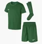 Спортивний костюм дитячий Nike Dry Park 20 Kit Green Cd2244-302