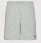 Шорты мужские Nike Shorts M Nk Flc Park20 Short Kz Grey CW6910-063