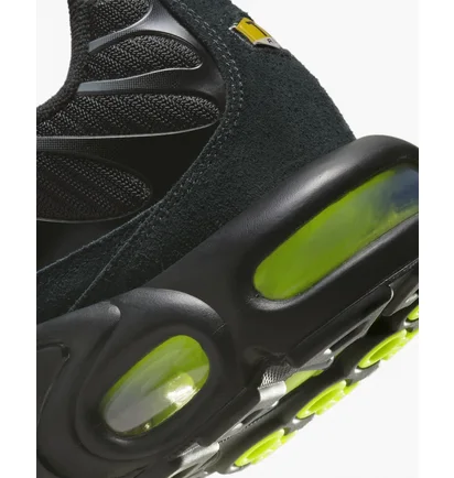 Кросівки чоловічі Nike Air Max Plus Black FQ2381-001