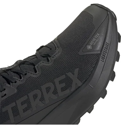 Кросівки чоловічі Adidas Terrex Agravic Gtx Black JR5240