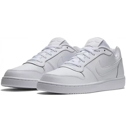 Кроссовки мужские Nike Ebernon Low White Aq1775-100