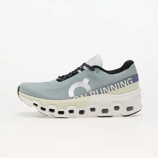 Кросівки чоловічі On M Cloudmonster 2 Grey 3ME10122078
