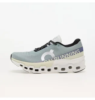 Кросівки чоловічі On M Cloudmonster 2 Grey 3ME10122078