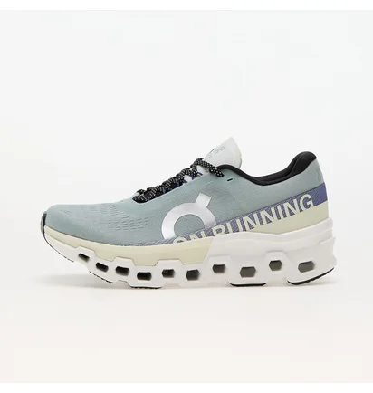 Кросівки чоловічі On M Cloudmonster 2 Grey 3ME10122078