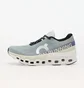 Кросівки чоловічі On M Cloudmonster 2 Grey 3ME10122078