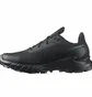 Кроссовки мужские Salomon Alphacross 5 Black 473131