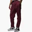 Штаны мужские Air Jordan 23 Engineered Bordo DQ8066-680