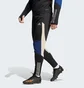 Штаны мужские Adidas Tiro 23 Competition Winterized Black IL7263