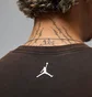 Футболка чоловіча Air Jordan M J Reissue Gx Ss Crew Brown HJ2356-010