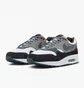 Кросівки чоловічі Nike Air Max 1 Premium Shoes Brown FJ0698-100