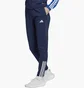 Штани жіночі Adidas Pants Tiro 23 C Tr Ptw Blue IC4609