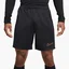 Шорты мужские Nike Academy Black DV9742-015