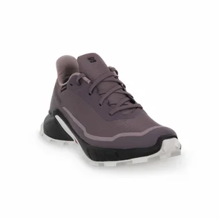 Кросівки жіночі Salomon Alphacross 5 Gtx Brown 473110
