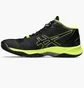 Кроссовки мужские Asics Sky Elite Ff Mt 2 Black 1051A065-004