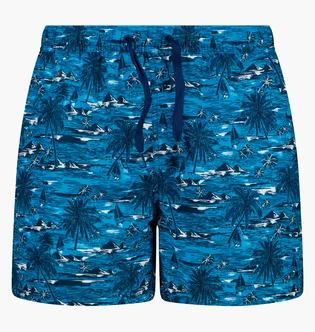 Шорти чоловічі CMP Printed Blue 36R5997-08YV