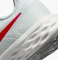 Кроссовки женские Nike Revolution 6 Next Nature Grey Dc3729-010