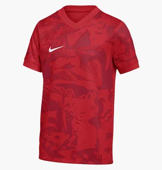 Футболка детская Nike Precision Vii Red FZ9336-657