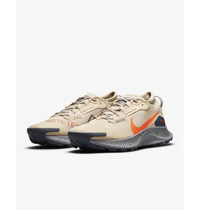 Кросівки чоловічі Nike Pegasus Trail 3 Gtx Beige DC8793-200