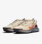 Кросівки чоловічі Nike Pegasus Trail 3 Gtx Beige DC8793-200