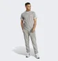 Футболка чоловіча Adidas Adicolor Classics 3-Stripes Tee Grey Ia4848