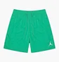 Шорты мужские Air Jordan M J Jumpman Poolside Short Green CZ4751-372