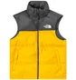Жилетка чоловіча The North Face 1996 Retro Nuptse Vest Yellow/Black NF0A3JQQZU3
