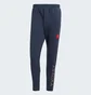 Штани чоловічі Adidas As Roma Seasonal Doubleknit Blue IT3869