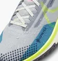 Кросівки жіночі Nike Pegasus Trail 4 Gore-Tex WomenS Waterproof Trail Running Shoes Light Blue DJ7929-002