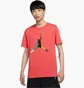 Футболка чоловіча Air Jordan Sport Peach CU1974-631