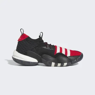 Кроссовки унисекс Adidas Trae Young 2.0 Basketball Shoes Black If2163