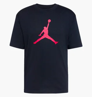 Футболка мужская Air Jordan Jumpman Black IR0340-010