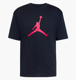 Футболка мужская Air Jordan Jumpman Black IR0340-010